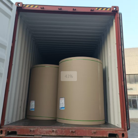 原木卷纸纸张能够走集装箱海运吗